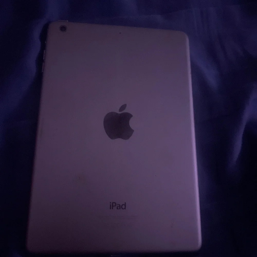 Apple IPad mini 2